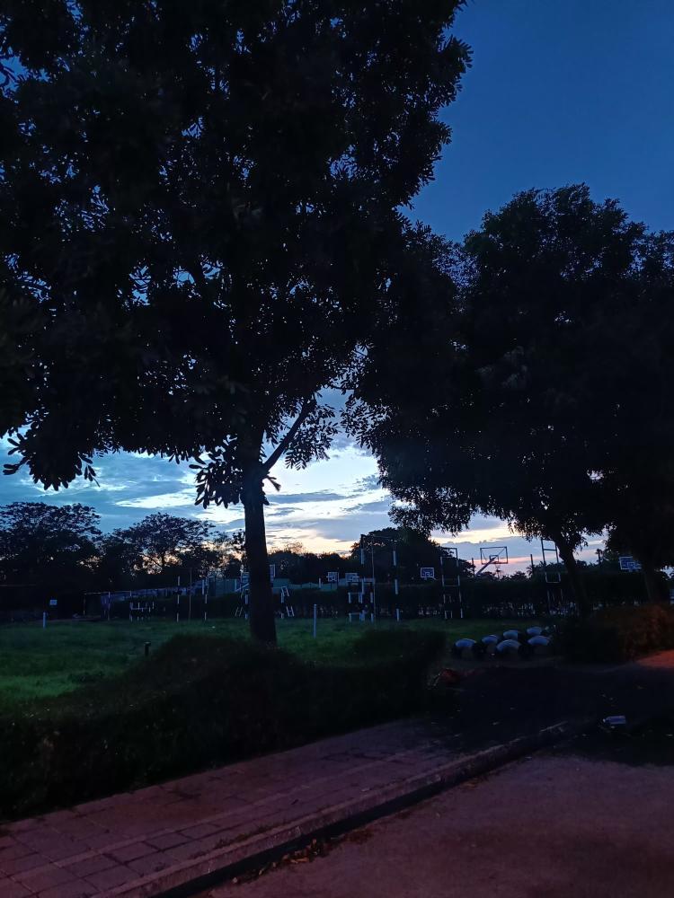 Dusk in the Park