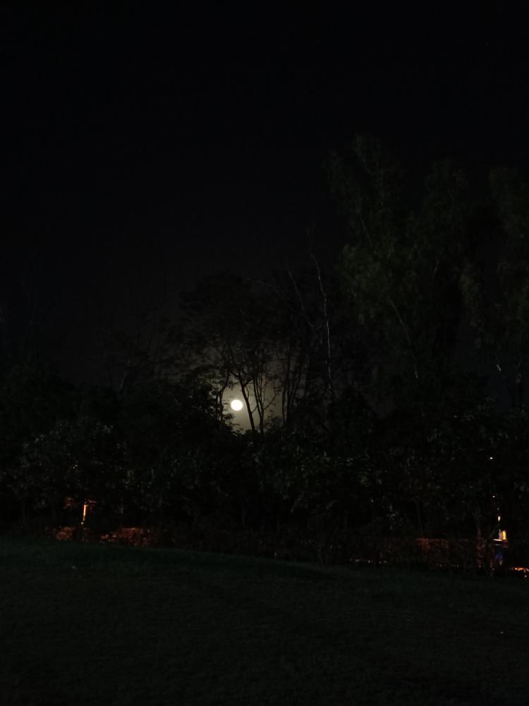 Peeking Moon