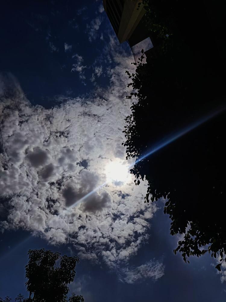 Skyward Gaze