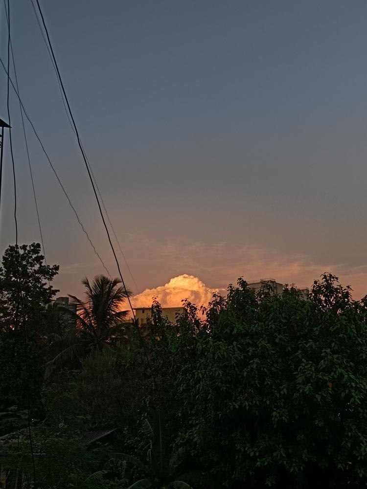 Suburban Glow