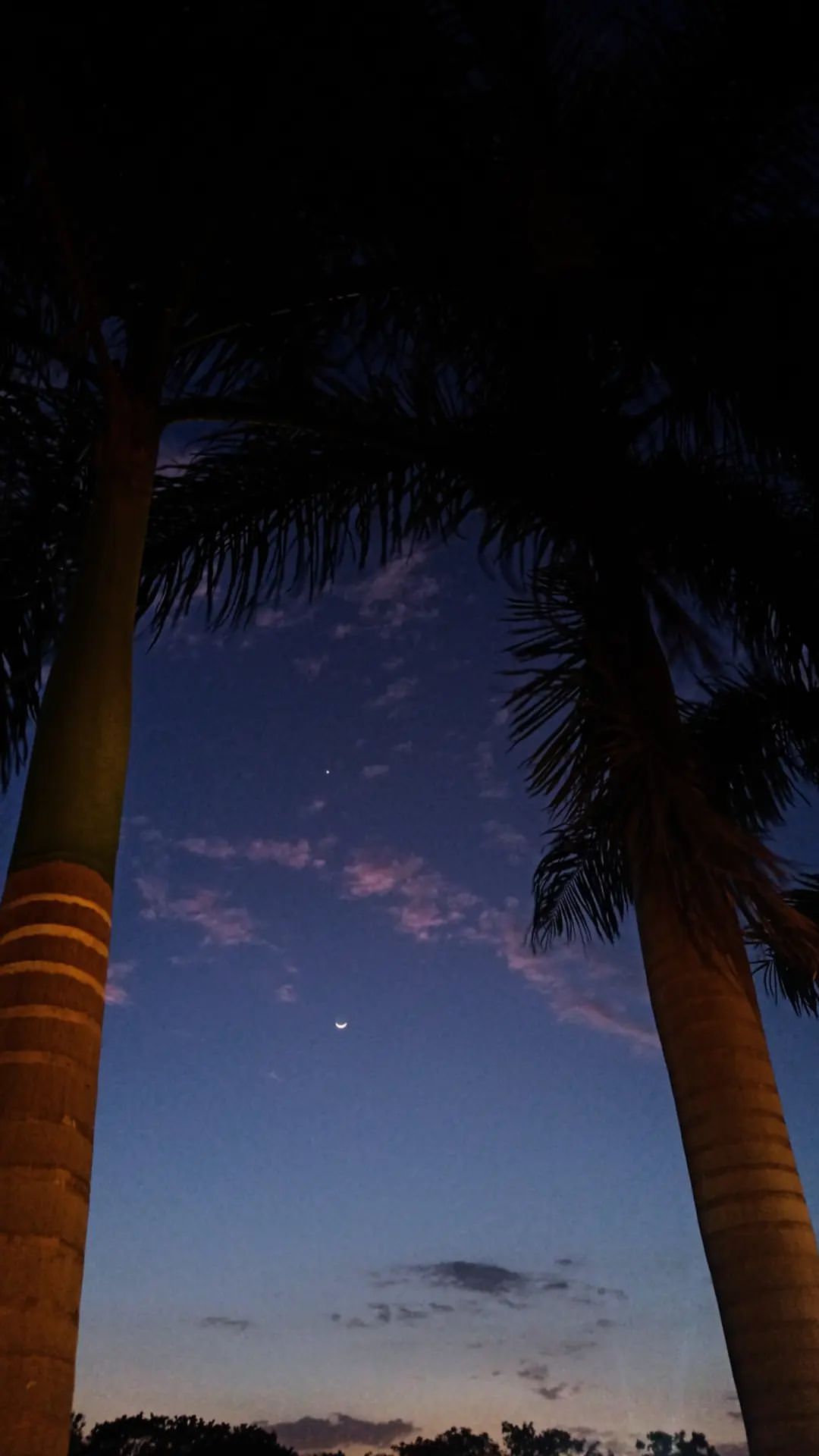 Tropical Crescent