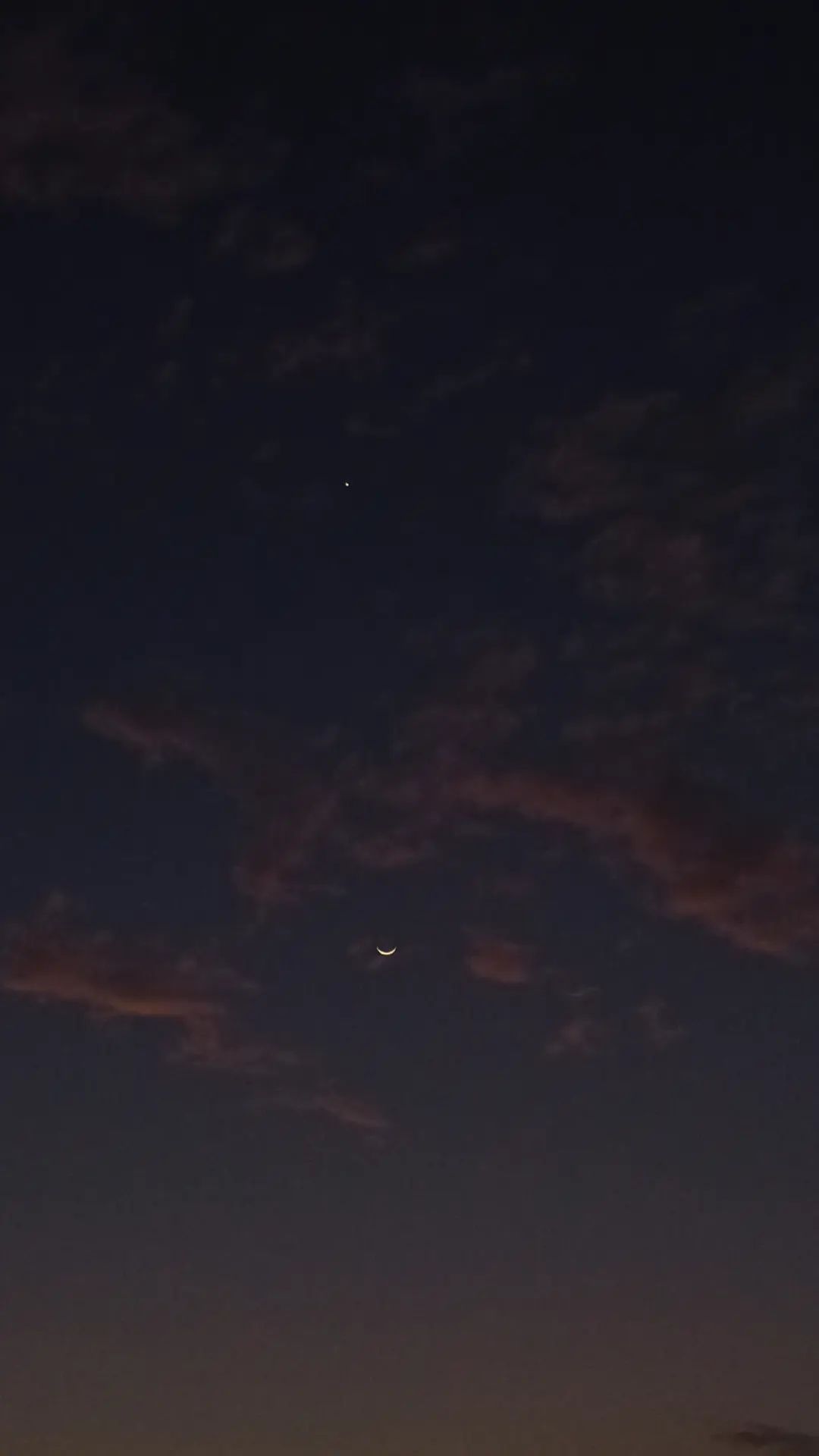 Twilight Companions