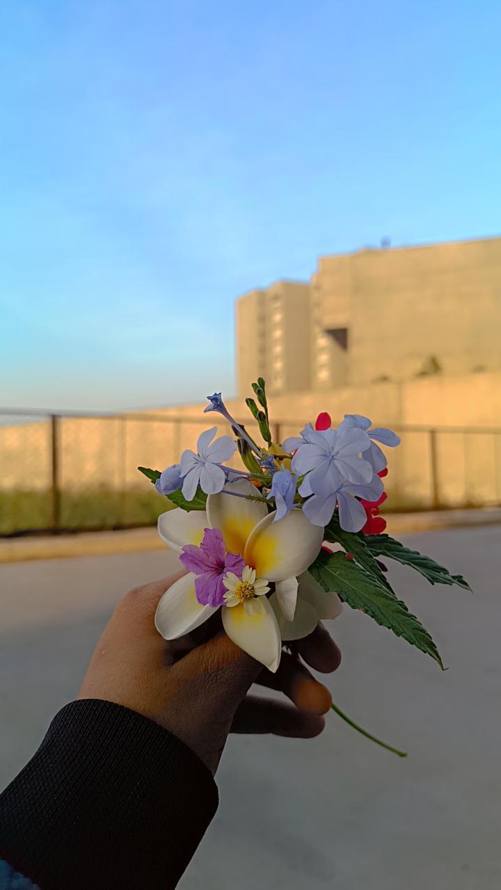 Urban Blossom