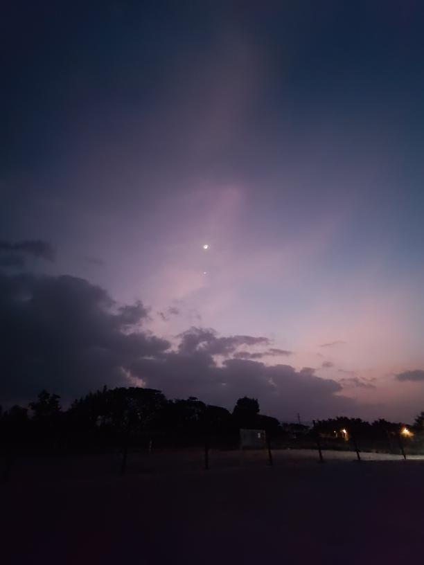 Whispers of Twilight
