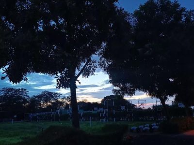 Dusk in the Park