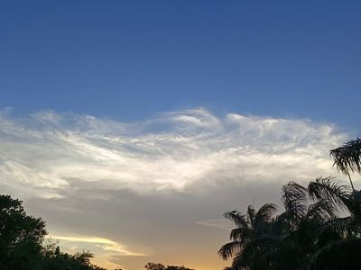 Evening Glow in the Park