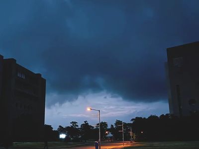 Quiet Before the Storm