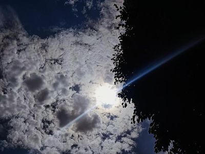 Skyward Gaze