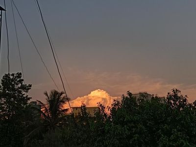 Suburban Glow