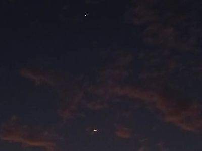Twilight Companions